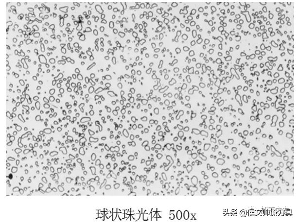马氏体和珠光体金相区别,马氏体的金相显微策划特征