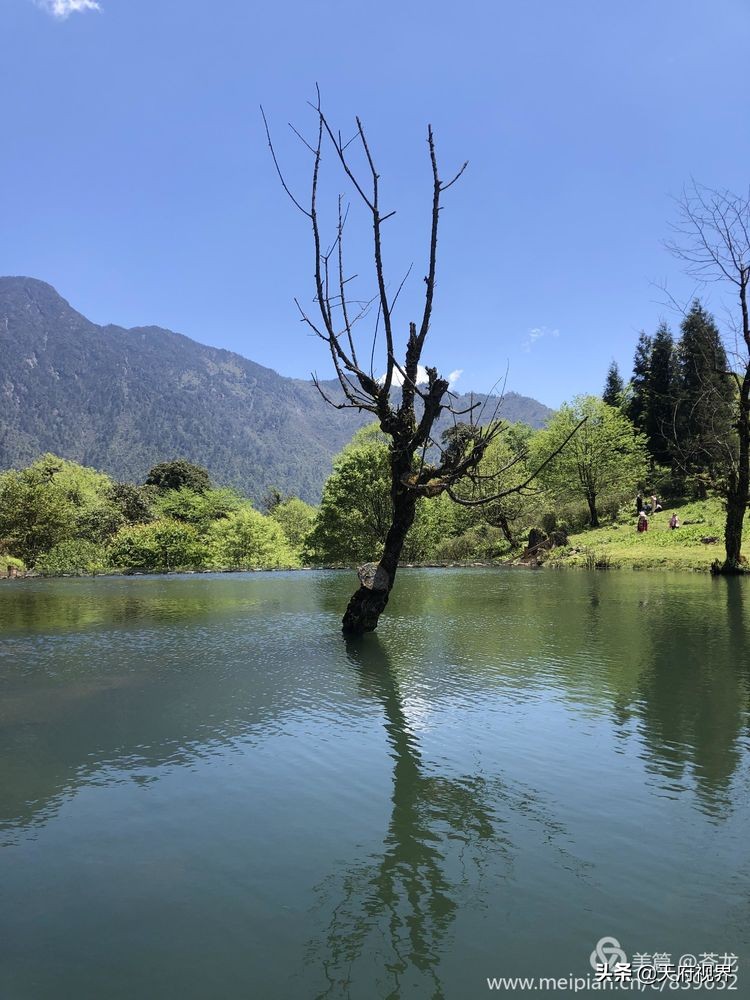 四川黑竹沟之谜,四川黑竹沟探险之旅