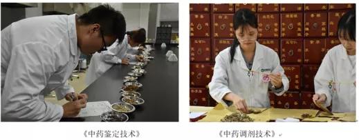 这所院校的省级品牌专业太棒了！期望成为中药学人才的小伙伴冲鸭