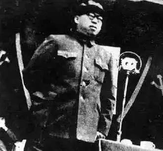 他是开国十大元帅之一，擅长的不是打仗，去世后毛主席亲自写诗悼念