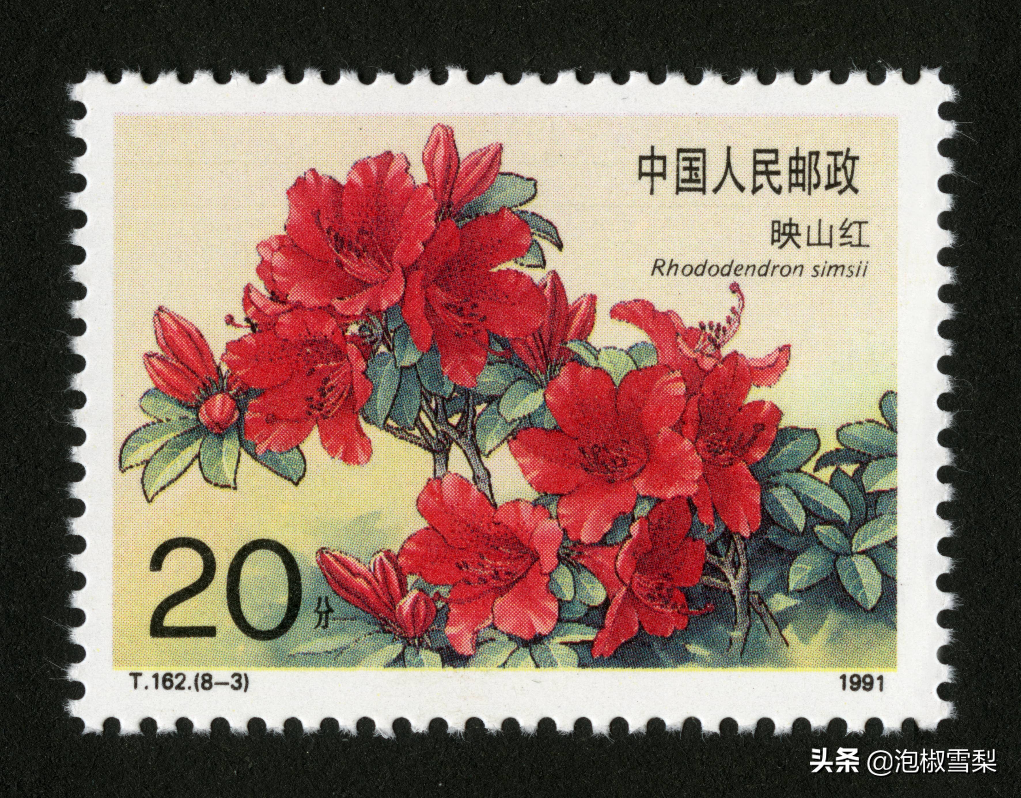 中国1991年发行的全部邮票图片｜陈胜吴广.计划生育.社会主义建设