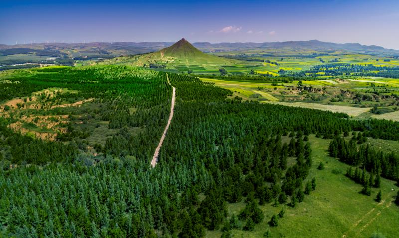 中国三北植树造林,中国植树造林工程
