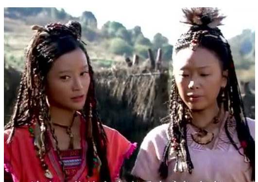 湘妃竹的故事中舜帝因何而去世,湘妃竹与舜的故事