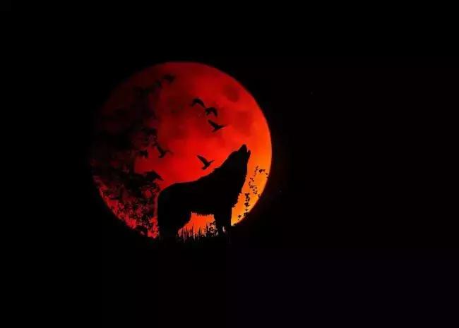 “血月见，妖孽现”丨2019年的这颗红月亮，送给北美~