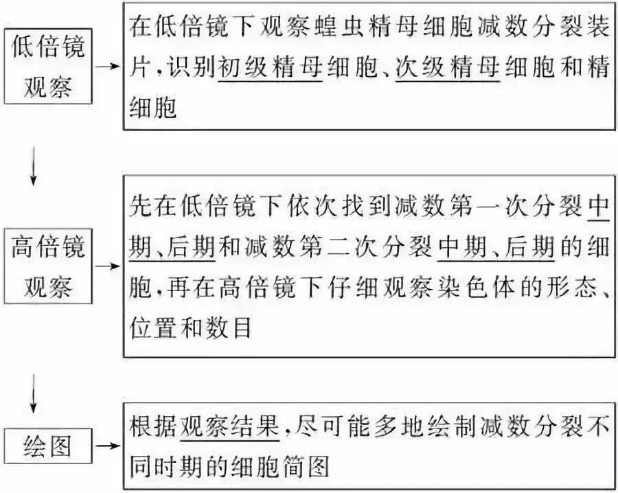 云南高中会考生物实验操作,生物显微镜实验视频高中