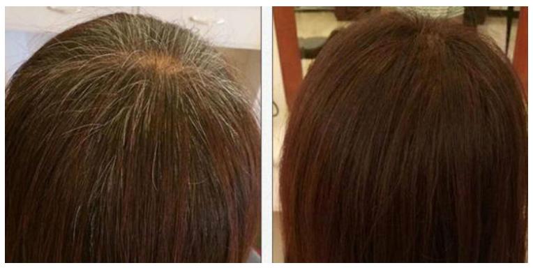 可以染发的植物果实,可以染发的植物图片和名字