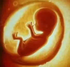 妈妈生下四胞胎爸爸急哭了,妈妈生下双胞胎儿子爸爸绝望