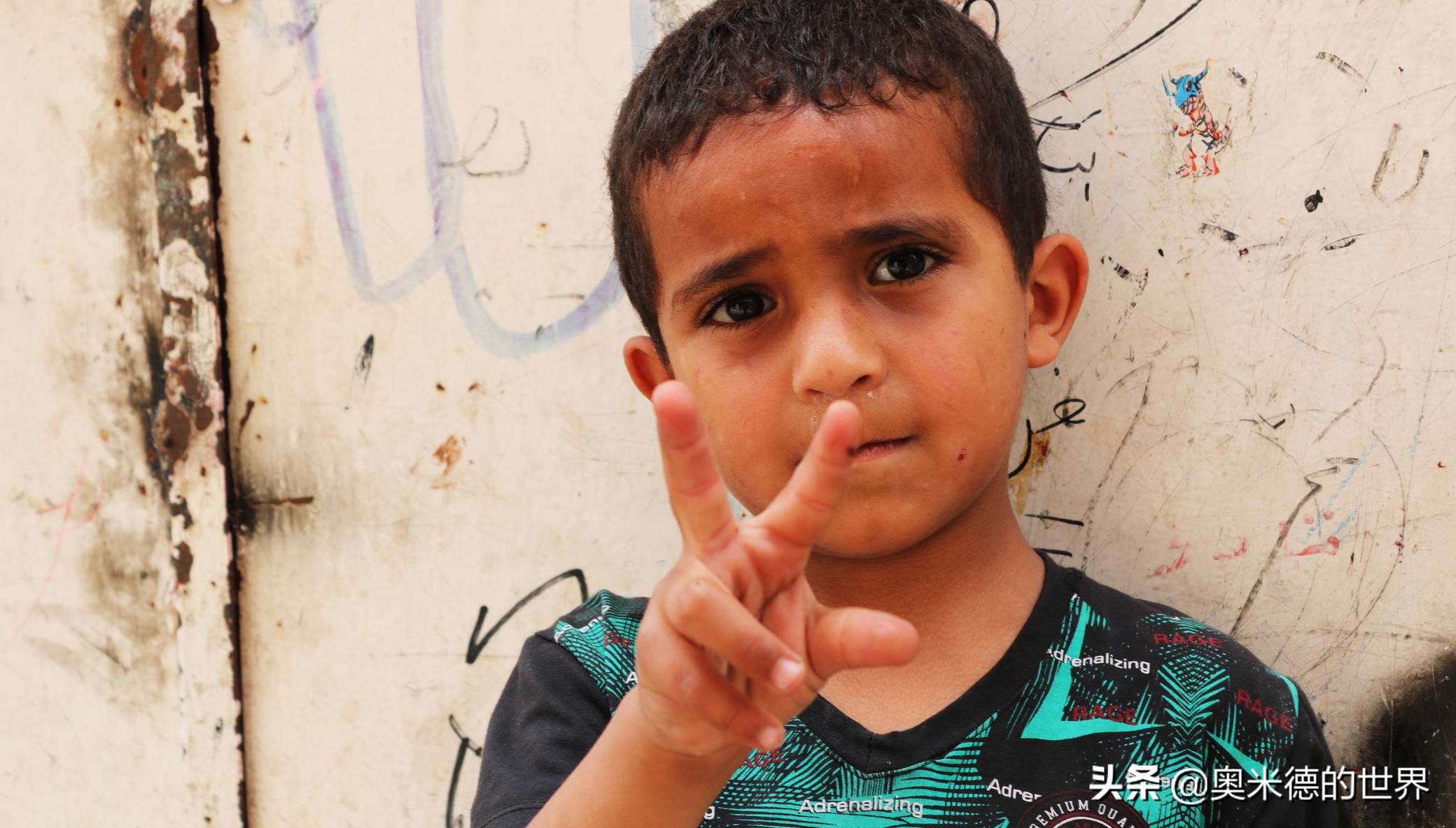 简单一点讲巴勒斯坦,巴勒斯坦的冷知识