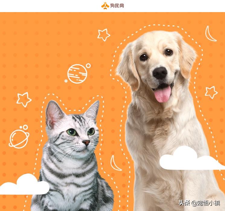 比较出名的宠物网站排名大全,国内外知名宠物品牌排行表