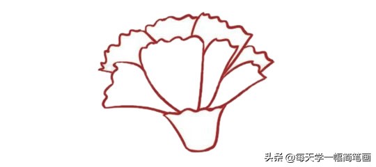 送给妈妈的母亲节康乃馨简笔画,画一朵康乃馨简笔画
