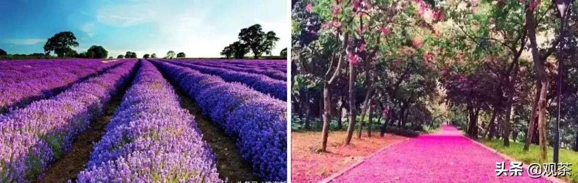 珠海有哪些值得打卡的地方,珠海有什么地方值得去打卡