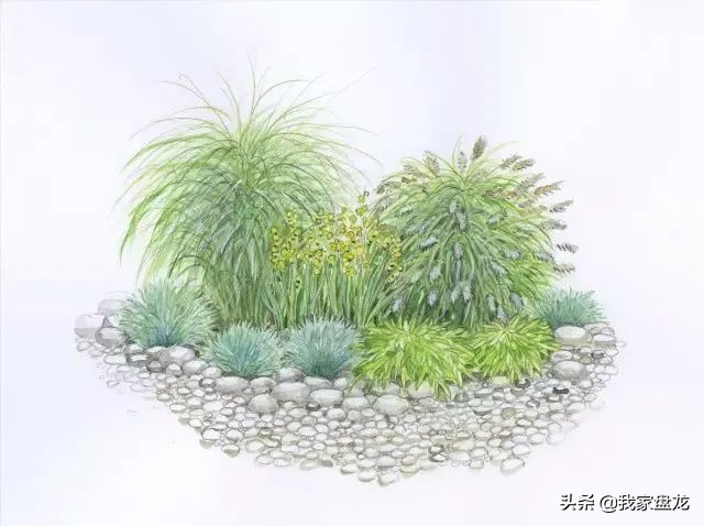 教你们一些特别实用的栽花小技巧,栽花有没有什么方法让它活得更好