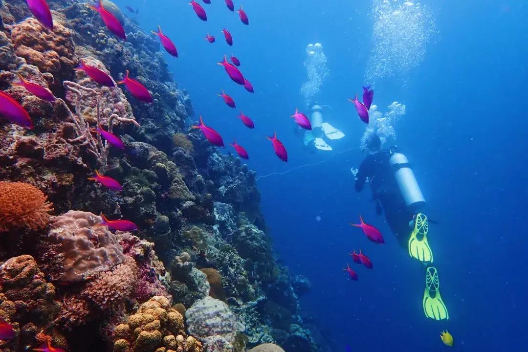 国庆节中秋节嗨起来,中秋国庆节双节嗨起来