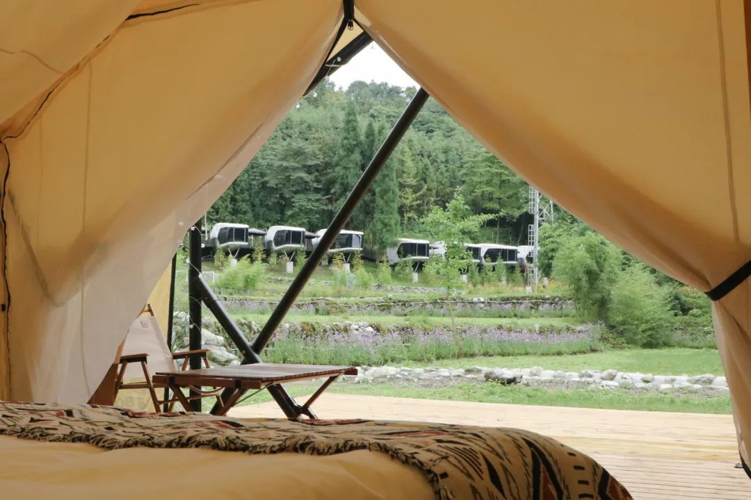 彭州太空舱营地,成都熊猫森林太空舱民宿