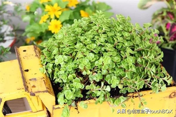 旧玩具车改导致新玩具,高手改造旧汽车玩具