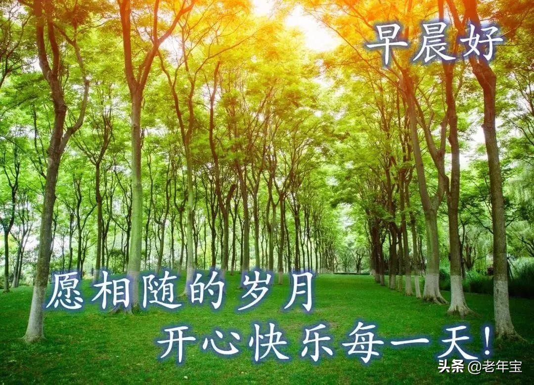 早上好周末愉快问候语动态表情包,周一早上好最新图片表情包