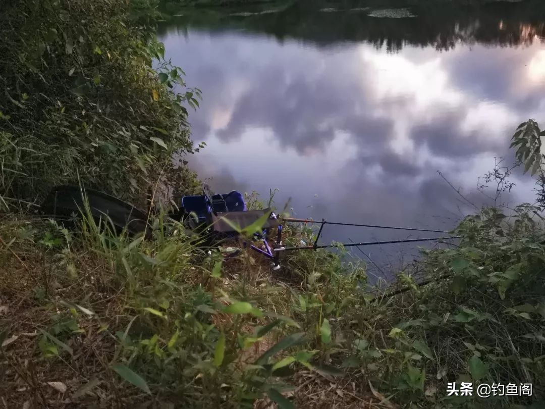 秋高气爽的天气怎样钓好鱼,夏天天气很热鱼怎么钓最好