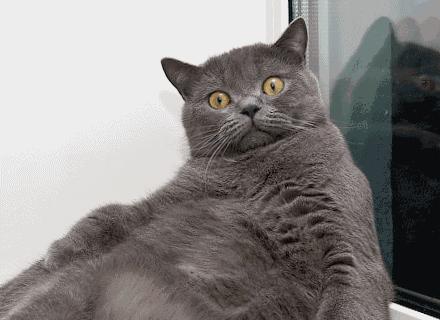 蚊虫叮咬后感染病毒几天有症状,蚊虫叮咬肿大了需要就医吗