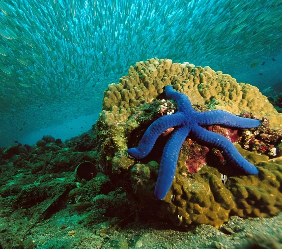 三亚的旅游攻略最细最全,三亚自由行旅游攻略超详细哦