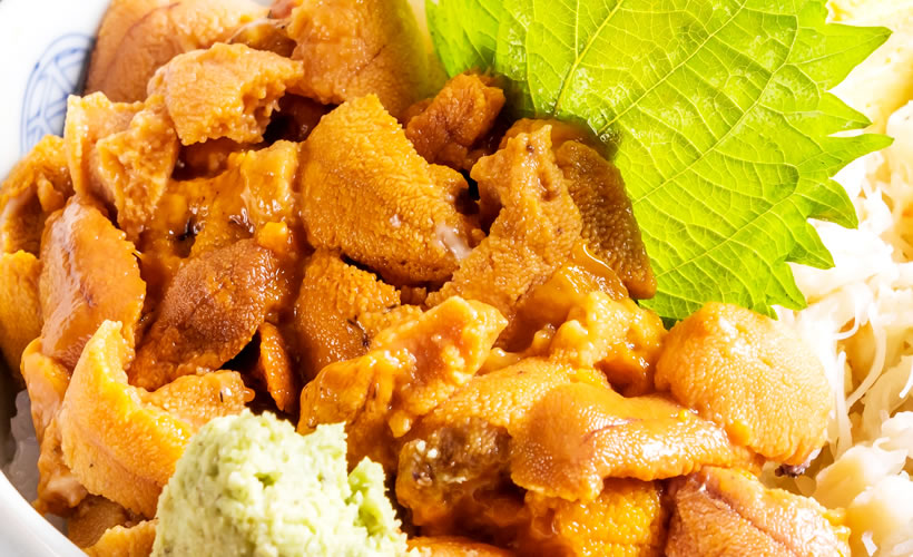 海胆到底多好吃,海胆原来是这么吃的