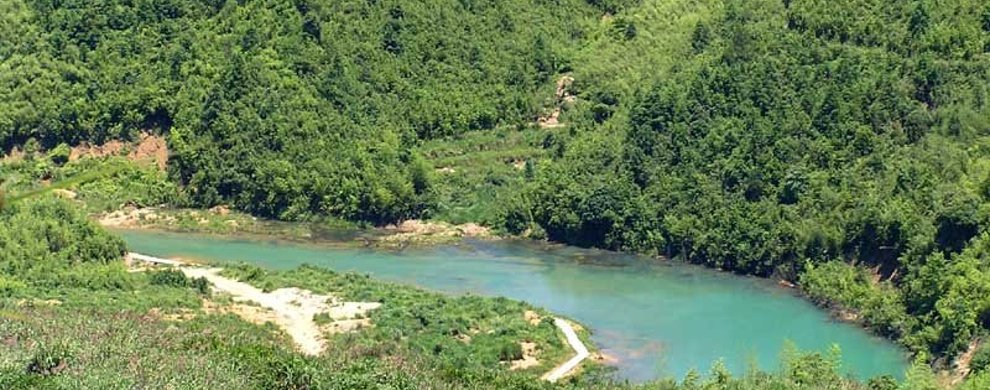 鸡血石与田黄石的结合,硬田黄石与田黄石