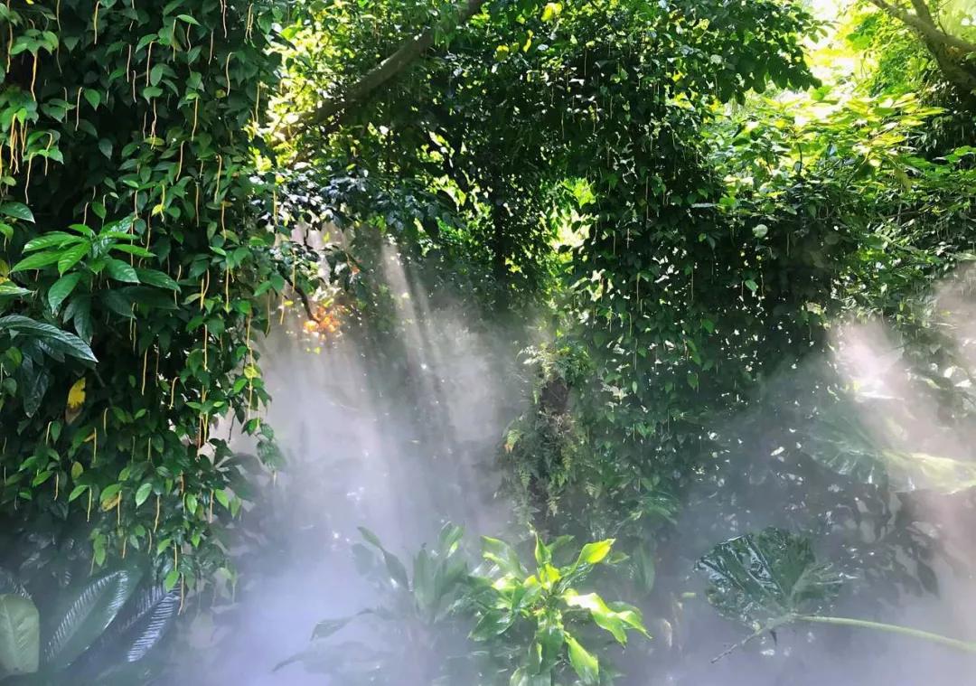 厦门什么地方吹海风吃着美食,厦门必吃海鲜吹海风