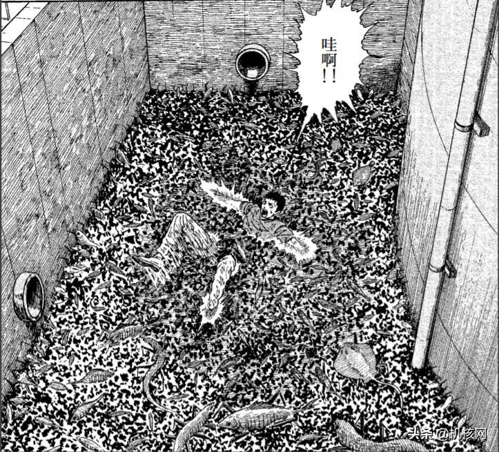 伊藤润二毛骨悚然的鱼去哪里看,伊藤润二鱼深层解析