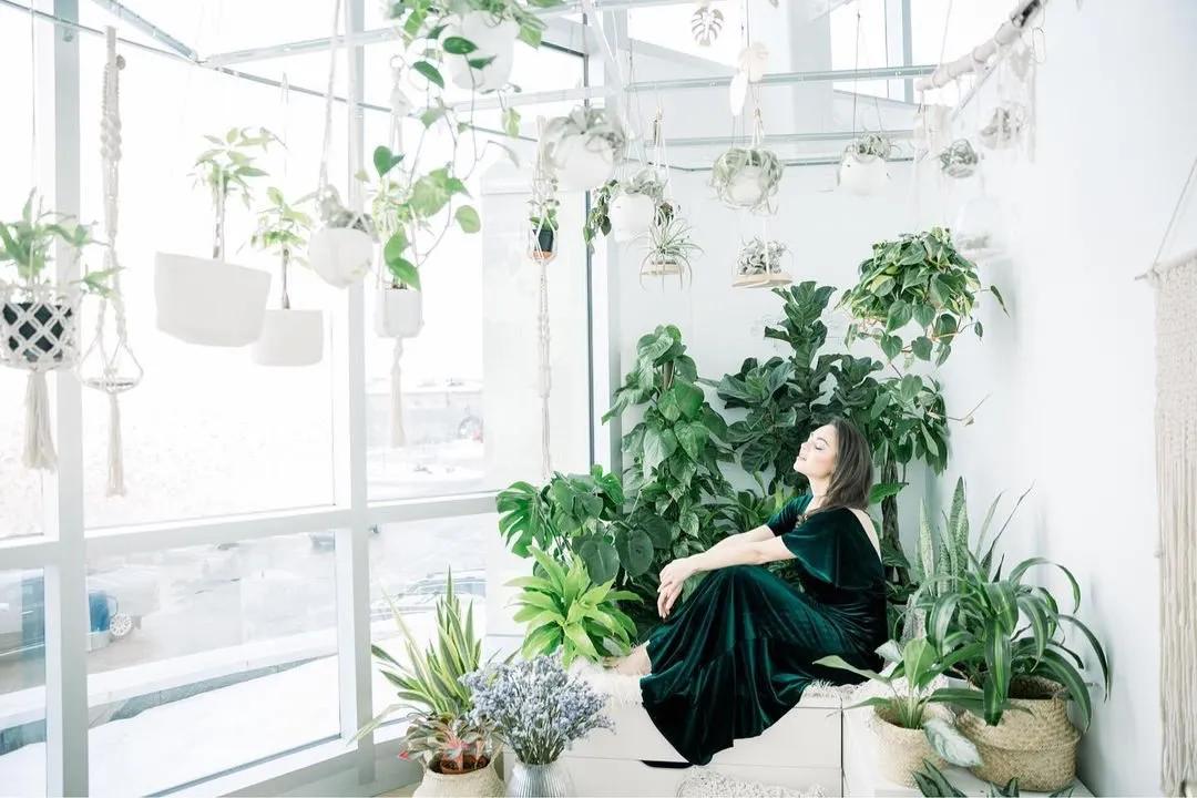 ins十大网红绿植,ins网红绿植大全