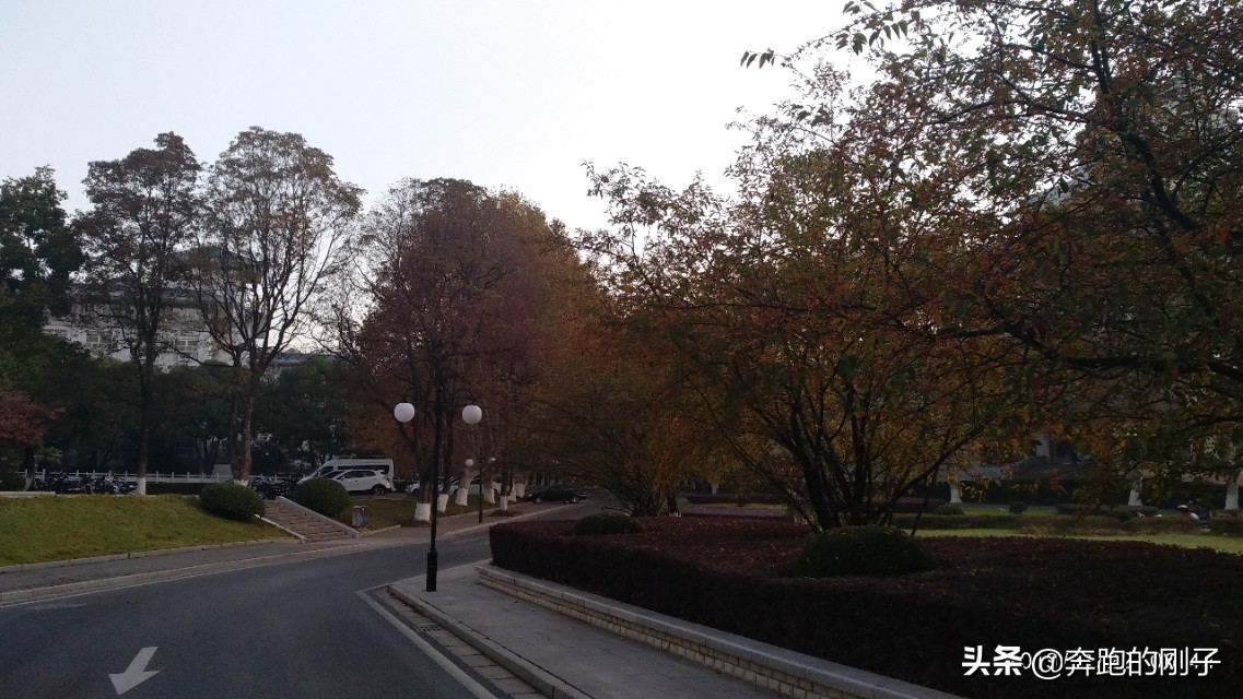 南京农业大学秋天美景,逛一下环境优美的南京农业大学