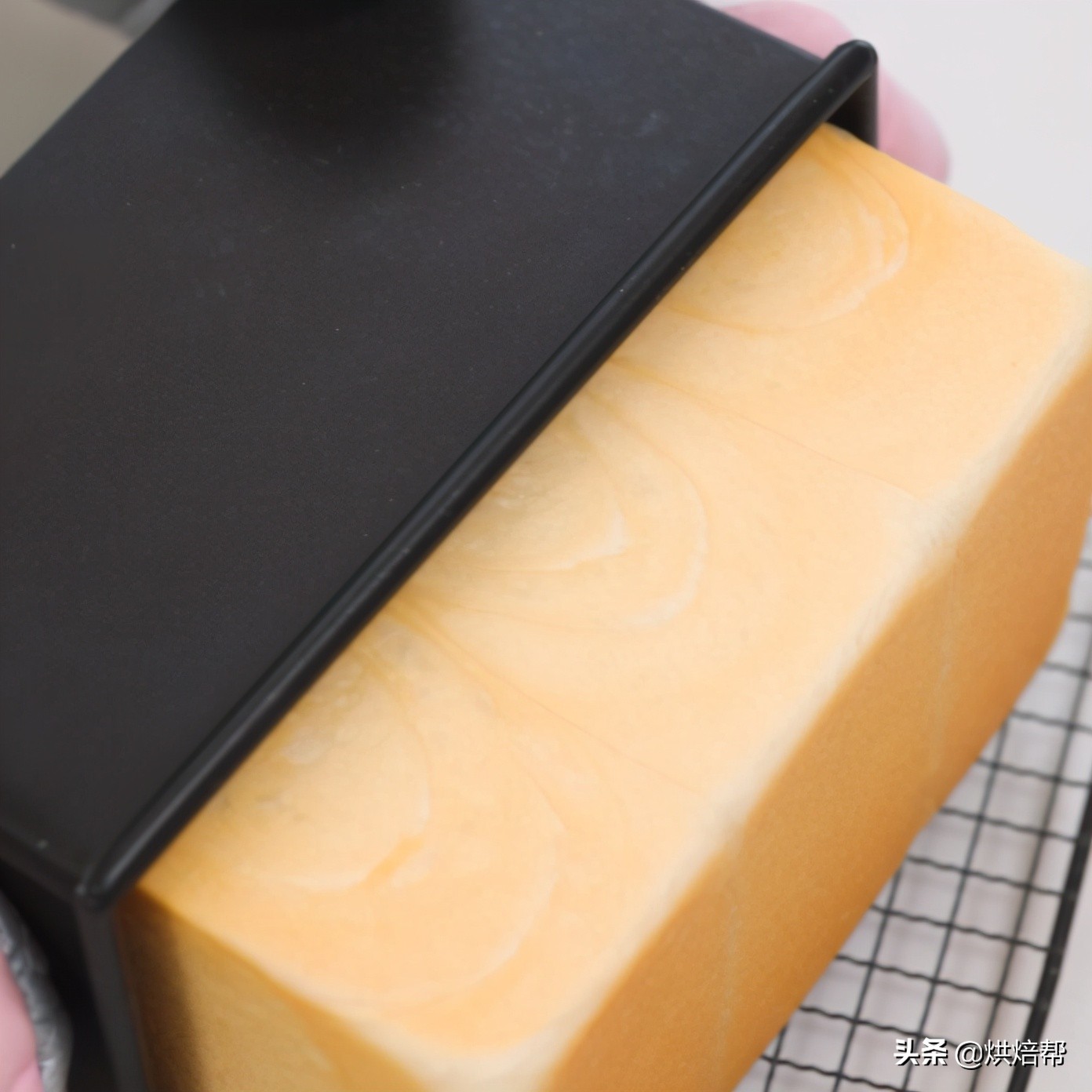 日本爆火吐司,日本生吐司中种