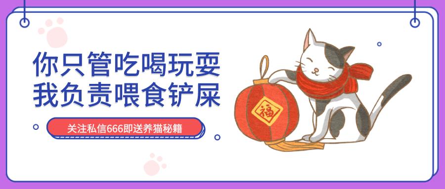 猫丢了三天回来变乖了吗,猫被丢弃后回来就乖了的故事