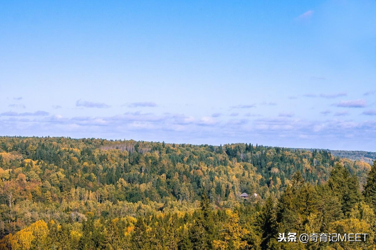 8012年了，亲子游还是一场攻坚战？总裁妈妈带你“革命”行李箱