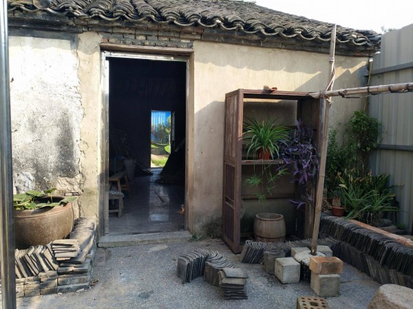 适合栽在庭院的多肉,庭院地栽多肉设计