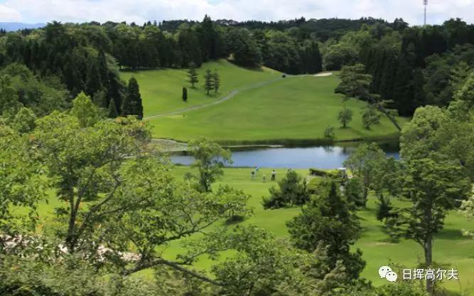 日本高尔夫欧巡赛,日本高尔夫巡回赛