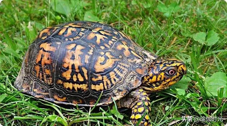 梦见这些说明你近期会有血光之灾,梦见财运一直在涨是什么征兆