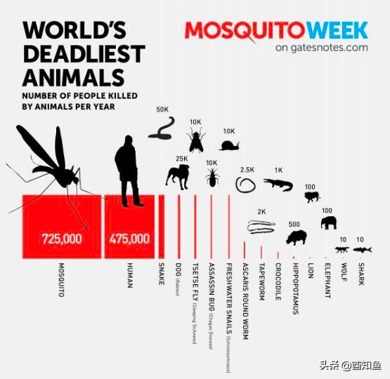 石墨烯能让人在蚊子面前“隐形”？高科技材料功能太强大