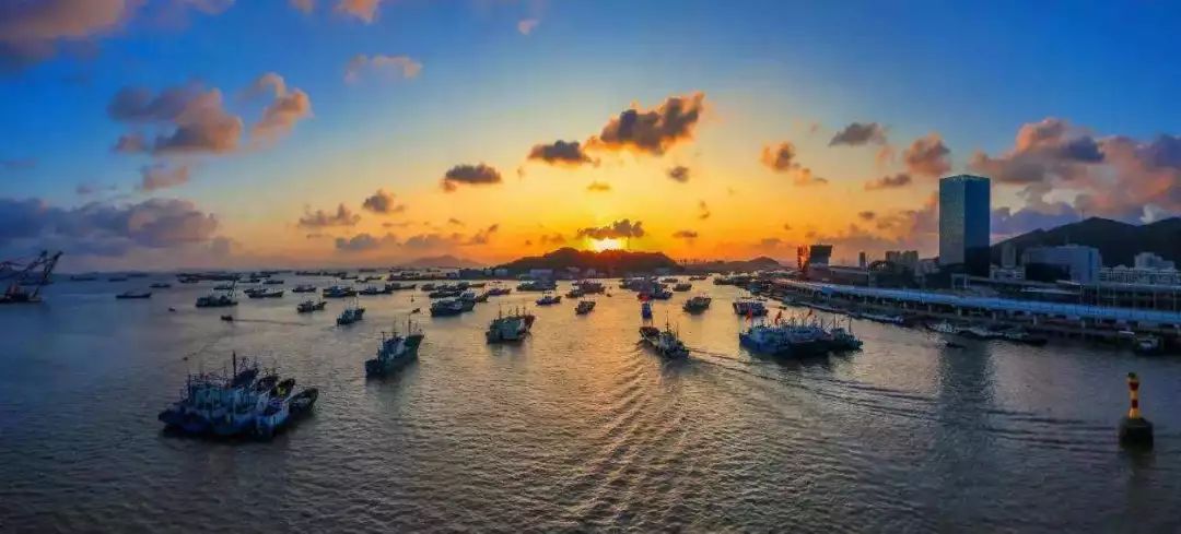 舟山特点美食之海鲜,舟山海鲜美食推荐