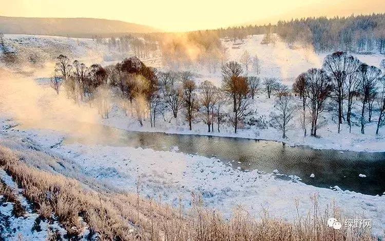 目前中国最冷的地方在哪里,中国现在最冷的地方有多冷