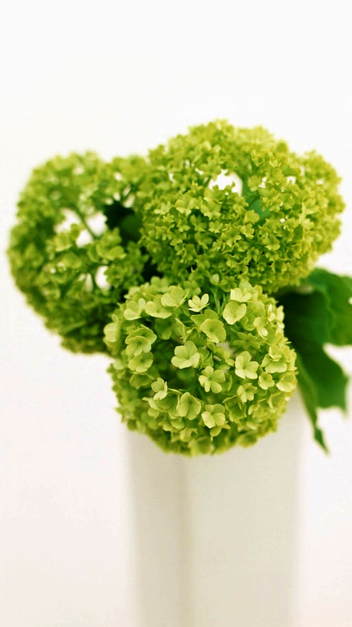 人生经典句子句句正能量走心励志,走心励志短句激励人心正能量文案