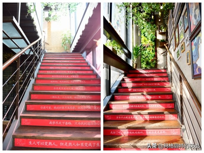 网红餐厅“胡桃里”的绿植布置|行摄