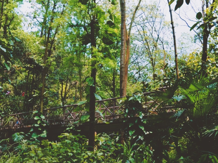 端午北京出游攻略,端午出行玩乐注意事项