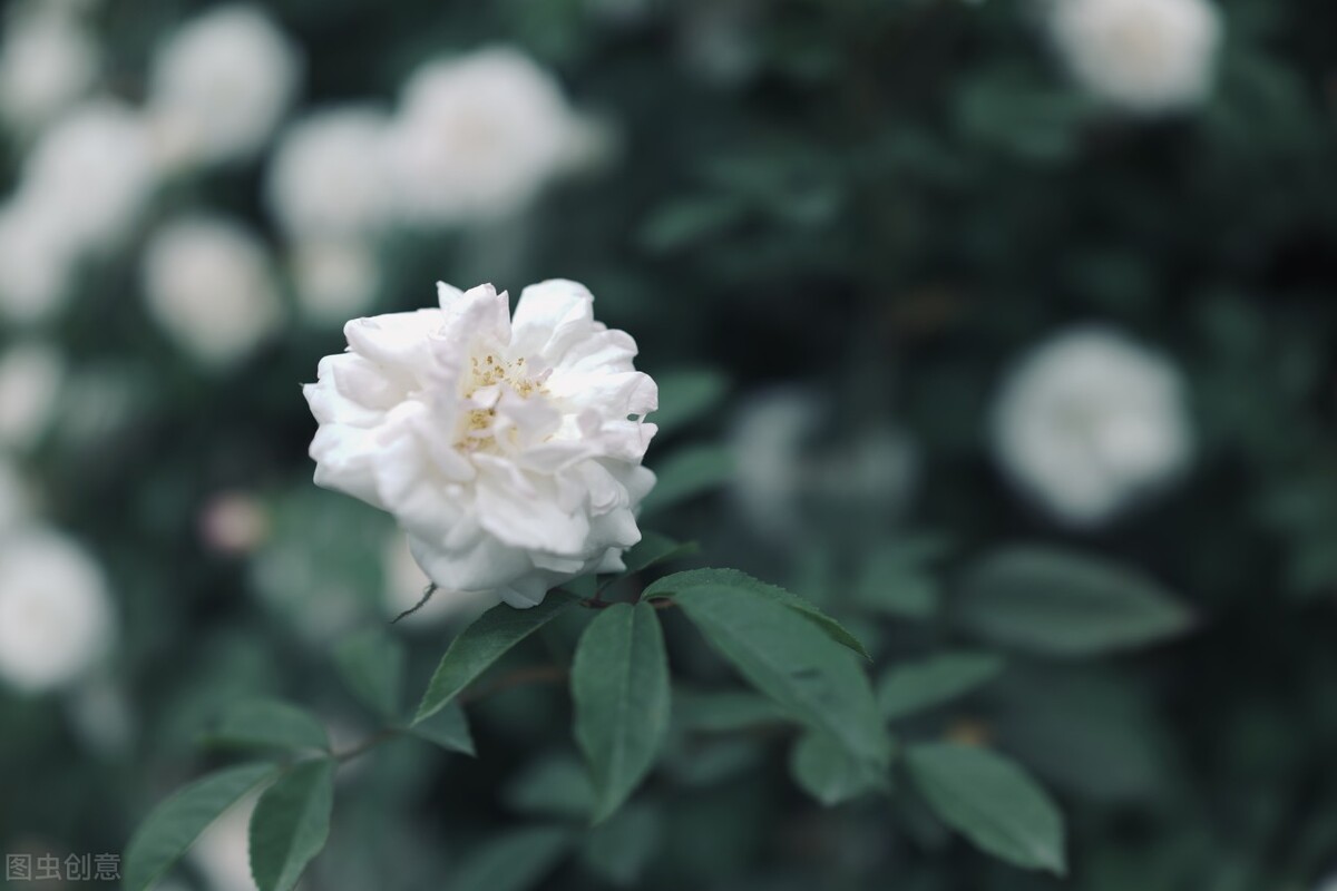 在供应链买了货车被骗了怎么办,物流公司买货车被骗该哪里投诉