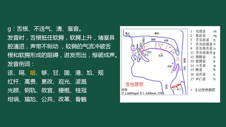 g的发音规则及字母组合发音规则,声母gkh的发音部位和发音方法
