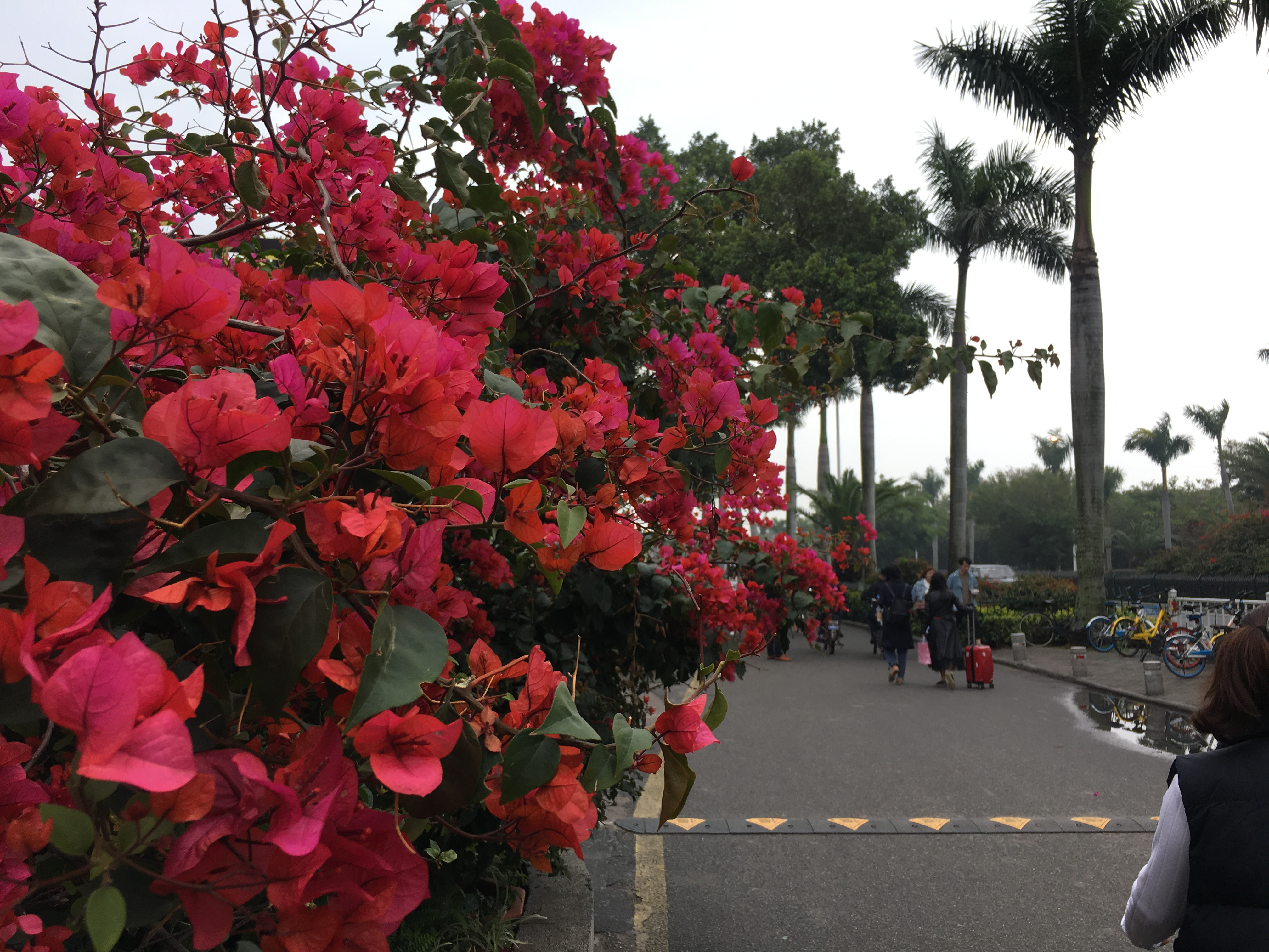 曾厝垵-这个名气仅次于厦门鼓浪屿的小渔村，可以这么玩