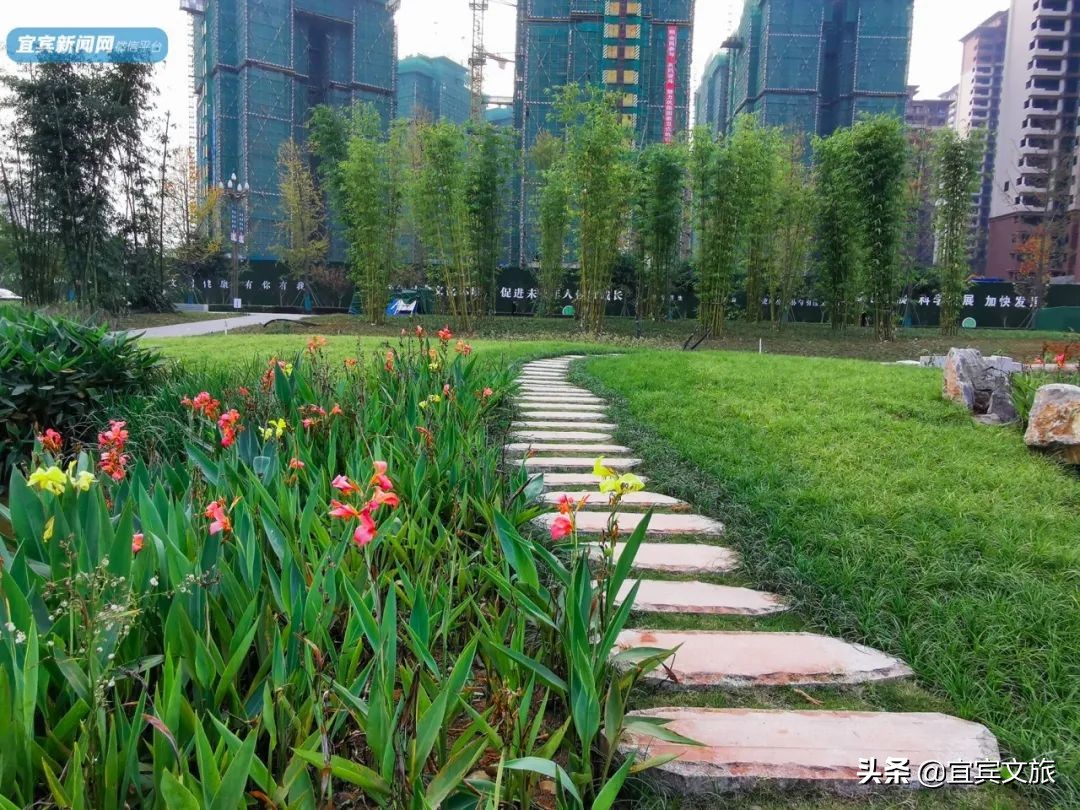 宜宾自然湿地公园,宜宾最漂亮的公园