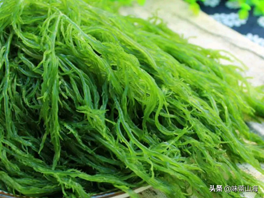 龙须菜和瓜苗菜哪个好吃,海石花菜龙须菜哪个好吃