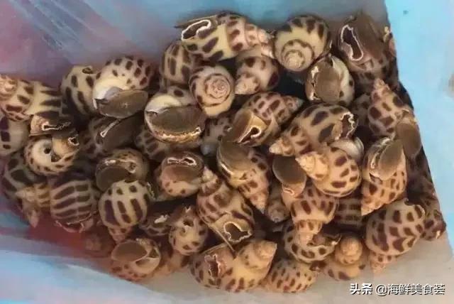 常见的鱼虾蟹等海鲜的认识,虾蟹类海鲜大全