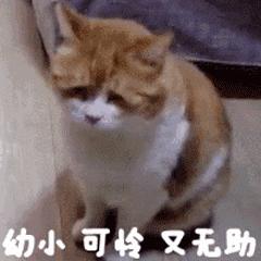 百度贴吧大规模*帖删**！你2017年之前发过的帖子全部消失？