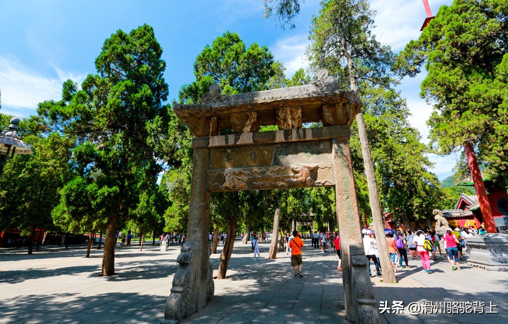 中国五大少林寺排名,中国五大禅宗寺院