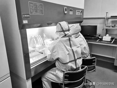 新冠病毒检测技术简史,新冠病毒检测使用的方法有哪些